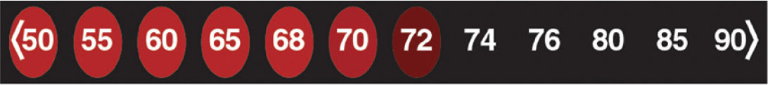 Digi-Temp® EZ room thermometer 3099 — 13 segments, 10–32 °C (50–90 °F), 10 × 90 mm